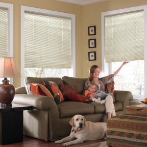 Cordless Aluminum Blind_w.model